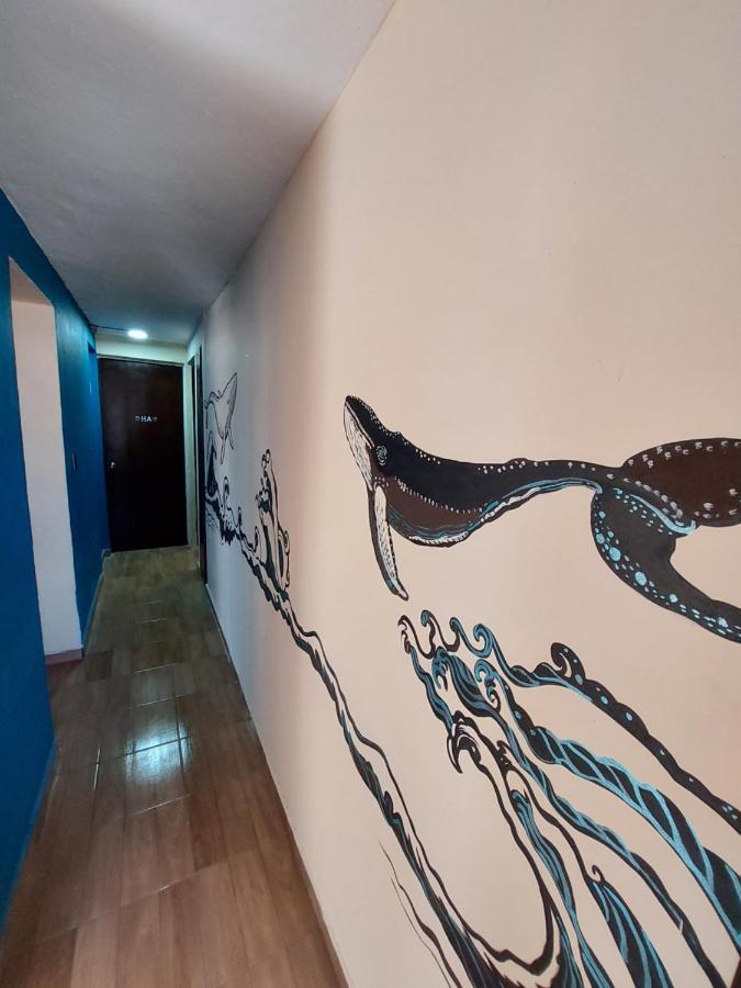 Venado 28 Ostello Cancún Esterno foto